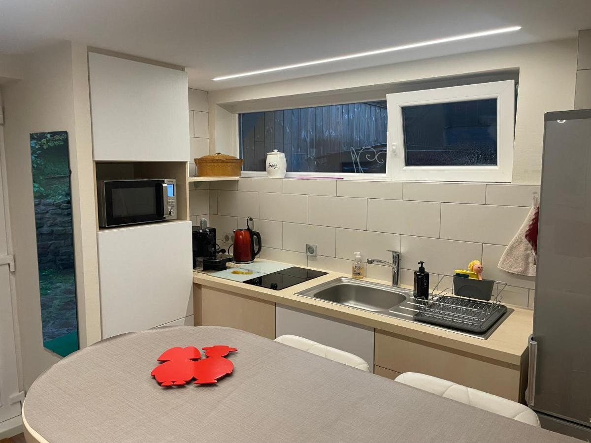 שטרסבורג Appart Prive Dans Villa Meinau Residentiel מראה חיצוני תמונה