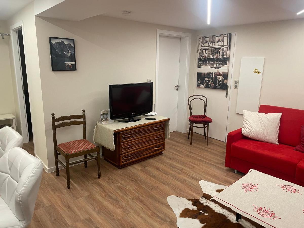 שטרסבורג Appart Prive Dans Villa Meinau Residentiel מראה חיצוני תמונה